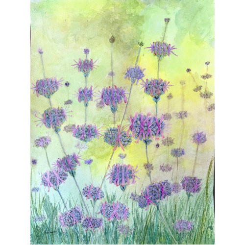 Purple Sage - Original Watercolor