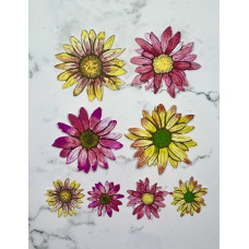 Daisy Sticker Pack