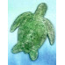 Sea Turtle Watercolor Pallet