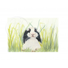 Black and White Bunny Original