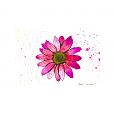 Pink and Brown Daisy