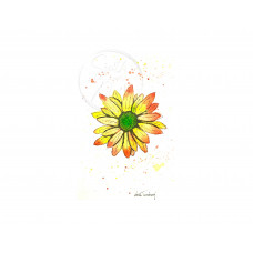 Yellow and Green Daisy