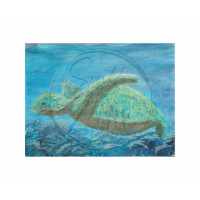 Sea Turtle