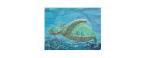 Sea Turtle